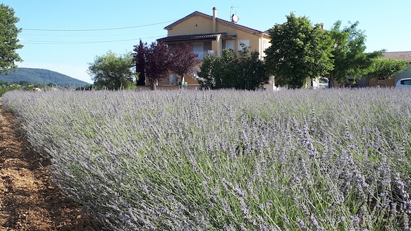 Property grounds - Gite Le Christol between Gard and Ardèche (Saint Victor de Malcap)