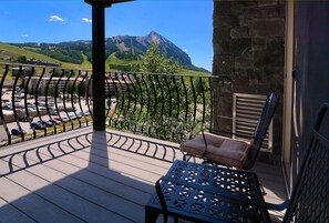 Property grounds - Glacier Lily, Pool, Hot tub, Shuttle (Crested Butte)