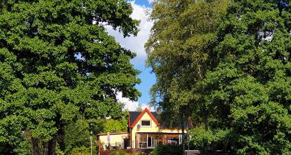 Lovely cottage on lakeside plot