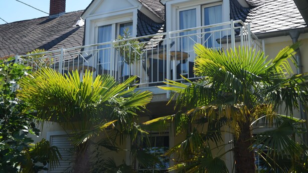 Une maison à deux étages dotée d’un balcon, entourée de palmiers.