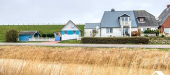 Lammkieker Direkt am Außendeich