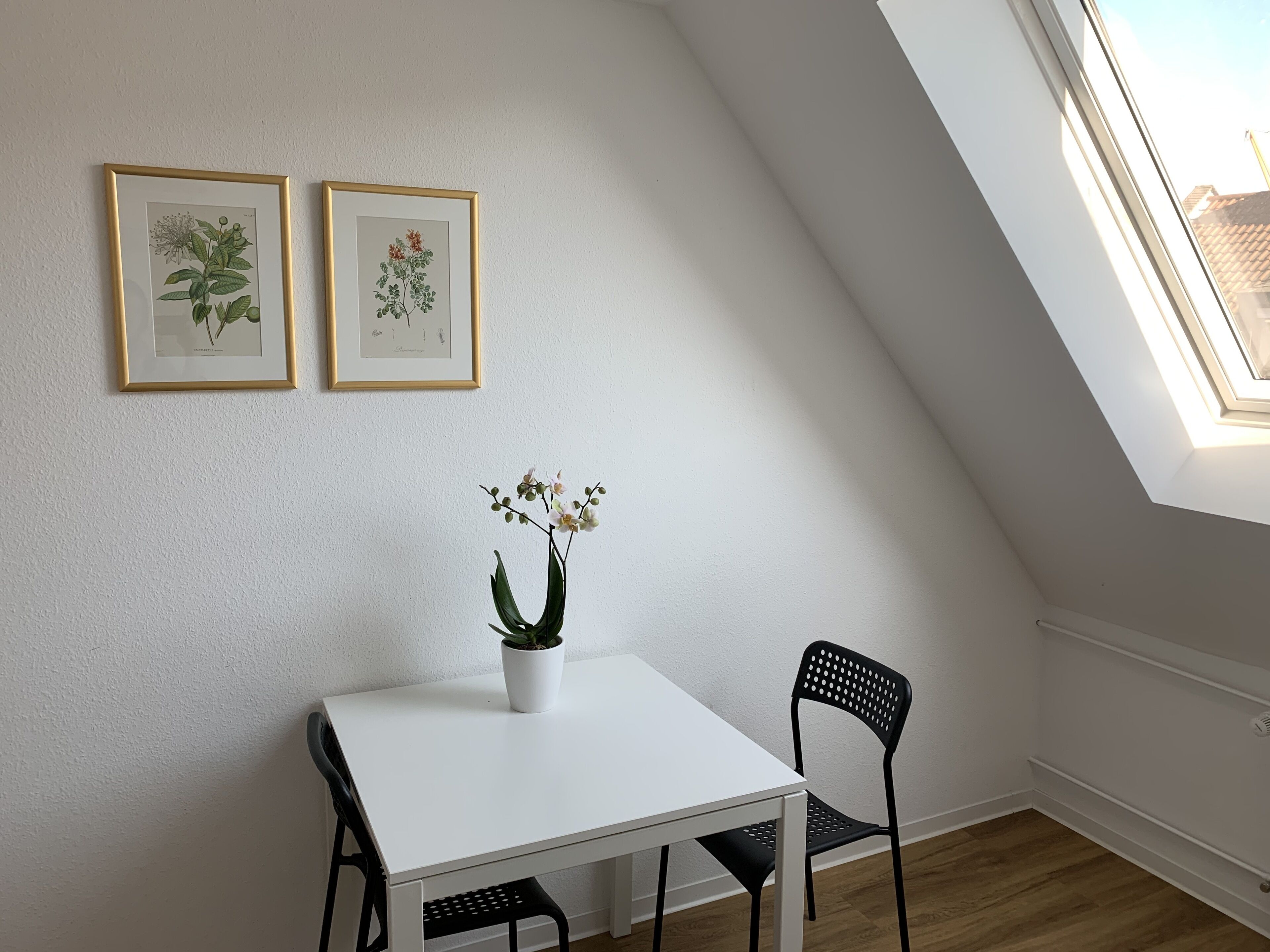 Photo - Hotel B54 Heidelberg City