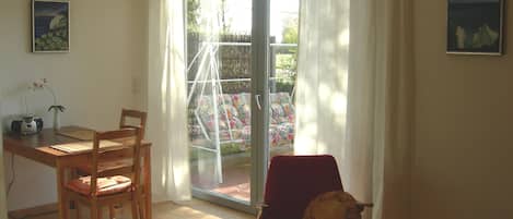 Televisión, chimenea y libros