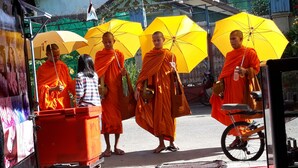 Monks in orange robes standing under yellow umbrellas, with a red mat on the ground and a bicycle nearby.