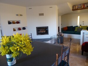 TV, fireplace, DVD player, ping pong