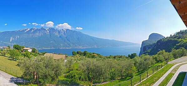 A mountainous landscape with a lake, olive groves, and a paved path.