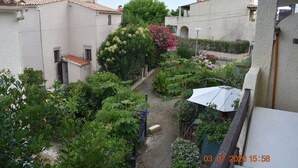 A garden with various plants and flowers, a pathway, and a building with a tiled roof.