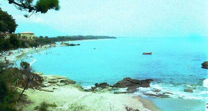 Plage<50m. Balcon équipé. Parking. Option Wifi, voiture, vélo.   Nbrs activités