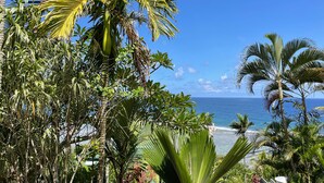 A tropical beach with dense foliage and a clear view of the ocean.