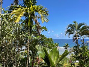 Beach nearby, sun loungers