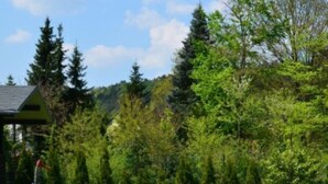 Un espace extérieur paisible avec un étang, une jetée en bois et un kiosque.