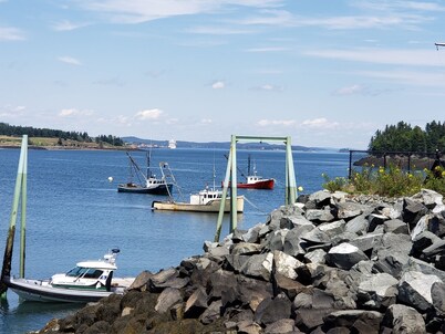  3 cabin family package, 4 kayaks,3 fire pits, full kitchens, no pet fee