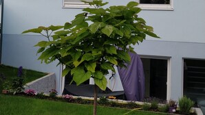 Un edificio de dos pisos con techo plano y un pequeño árbol en el jardín delantero.