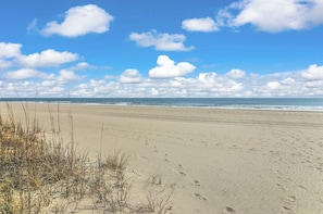 On the beach, sun loungers