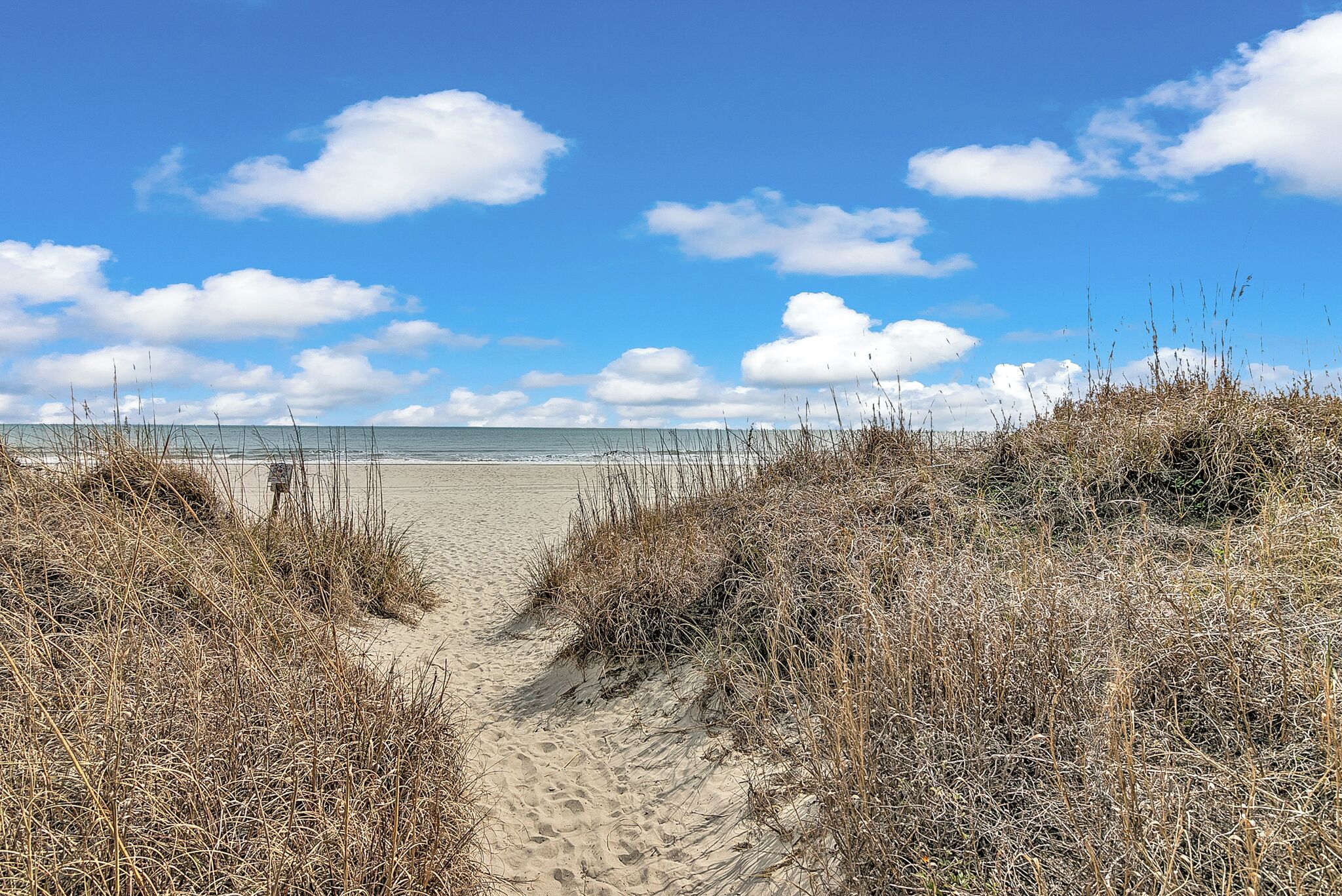 A sandy beach path with dry grass on either side leading to the sea under a clear sky.