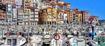 Arostegi Etxea - Nice apartment next to the port.