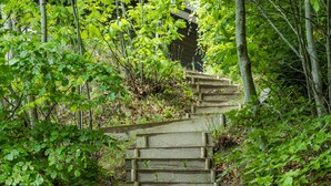 A wooden staircase surrounded by lush green foliage. - Beautiful home in Ebeltoft with kitchen (Ebeltoft)