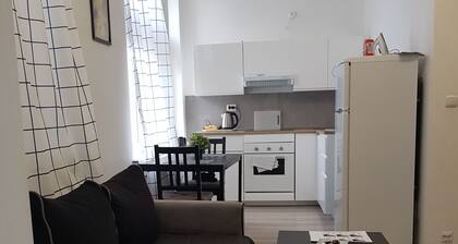 SouvenirAppart Wilenska 11A