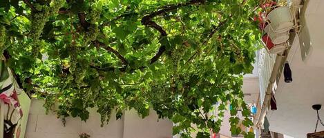 Voorkant van accommodatie