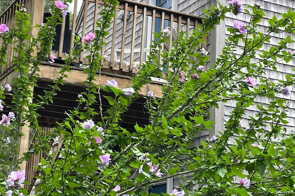 Außendetails