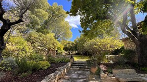 Un sendero de piedra atraviesa un jardín exuberante con diversas plantas y árboles.