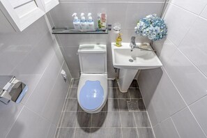 Shower, free toiletries, hair dryer, towels