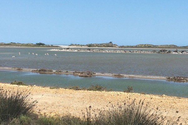 Strand