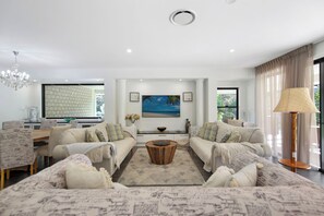 TV, fireplace, video games, DVD player