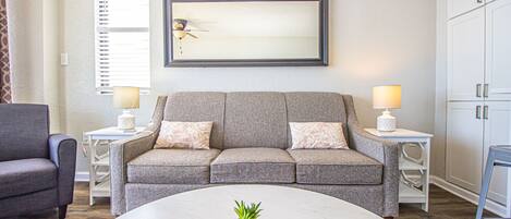 Fladskærms-tv, dvd-afspiller