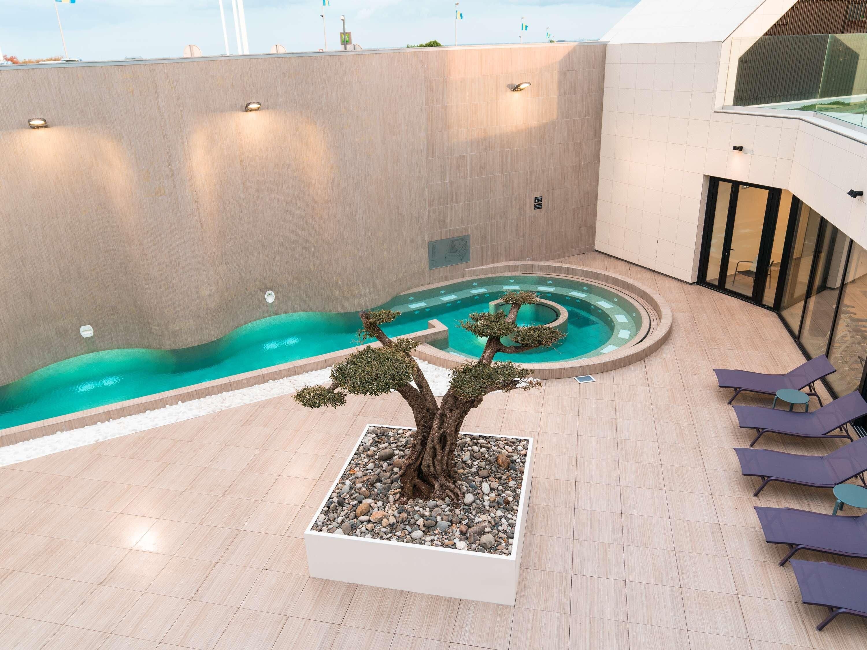A rooftop pool area with a bonsai tree centerpiece, lounge chairs, and a clear blue pool.