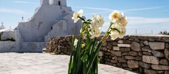 Sunset Paraportiani Rooms