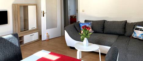 Flat-screen TV, books