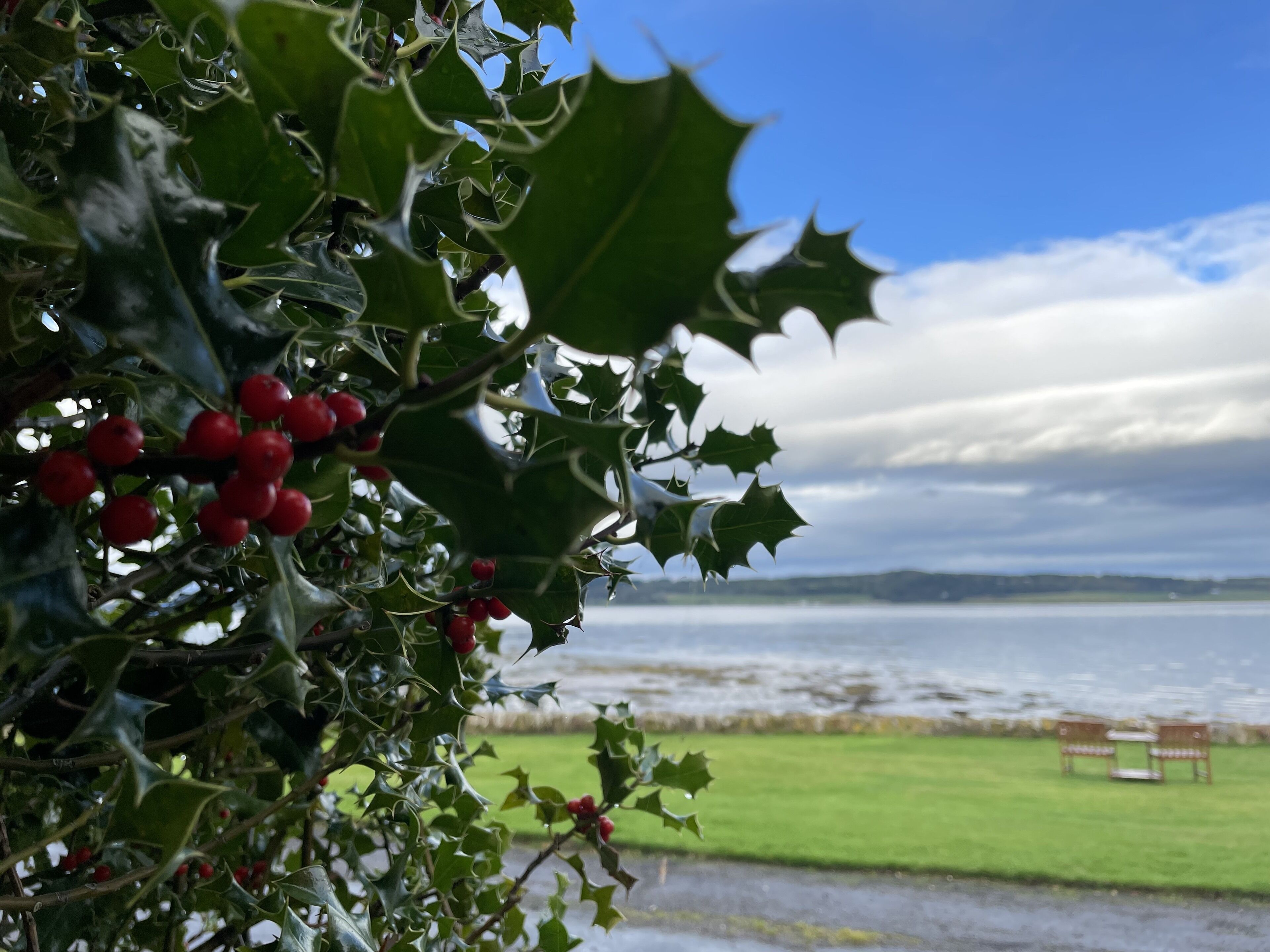 Foto - Bunchrew House Hotel