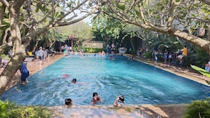 A swimming pool surrounded by lush greenery and trees. - Doho Homestay (Jember)