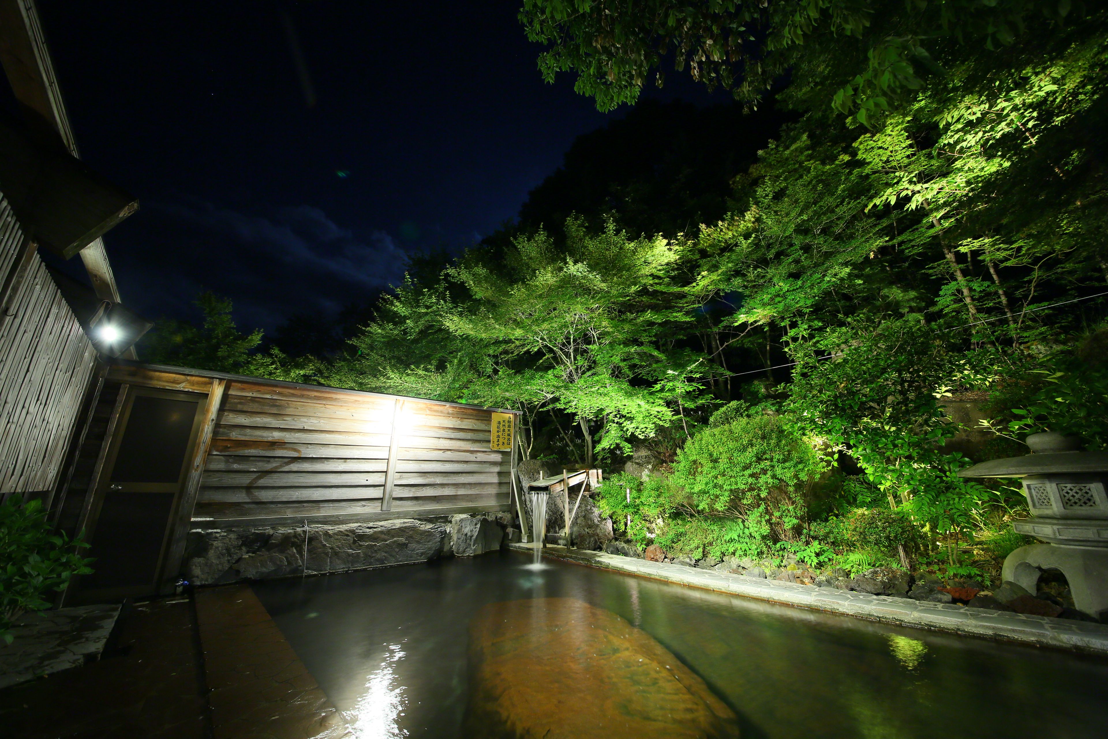 Vista nocturna de un onsen japonés tradicional con pared de madera, sendero de piedra y exuberante vegetación.