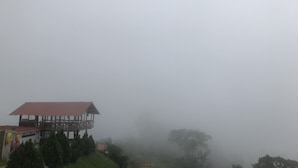 Un edificio de techo rojo, rodeado de árboles y niebla.