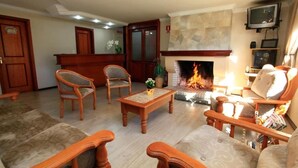 Un salon doté d’une cheminée, de meubles en bois et d’un téléviseur fixé au mur.
