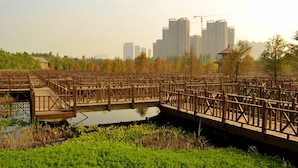 A wooden bridge over a water body with a cityscape in the background. - 7 Days Premium·xiamen Airport (Xiamen)