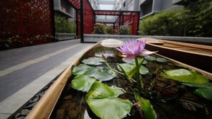 Een rustgevend binnenaquarium met een lotusbloem, gelegen in een moderne architecturale omgeving met rode en zwarte accenten.