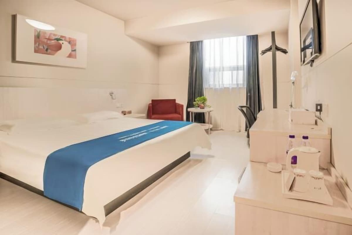 Quarto de hotel com uma cama, uma escrivaninha com cadeira, uma pequena mesa com planta, janela com cortinas e televisão fixada na parede.