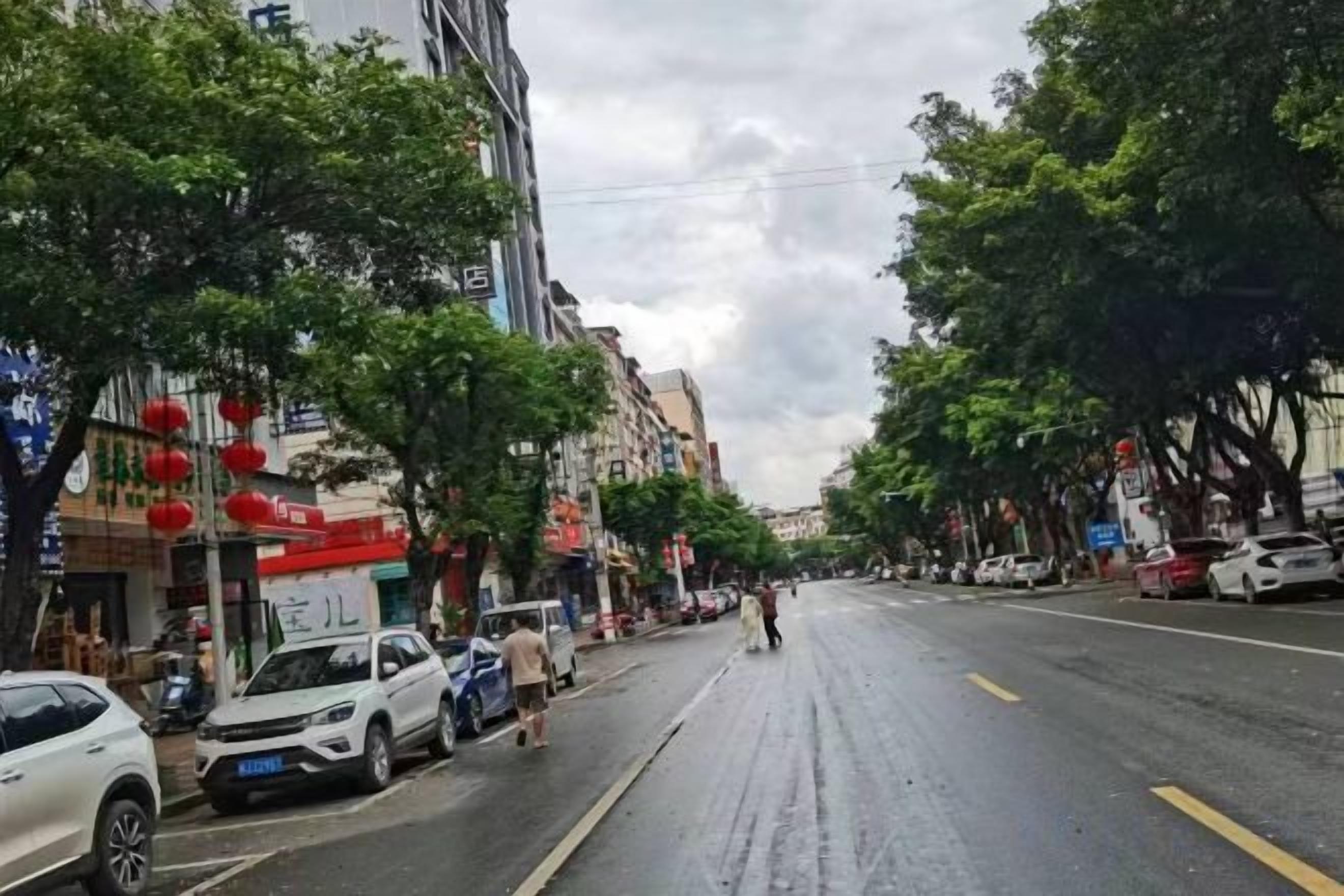 Rua com carros estacionados, árvores e edifícios.