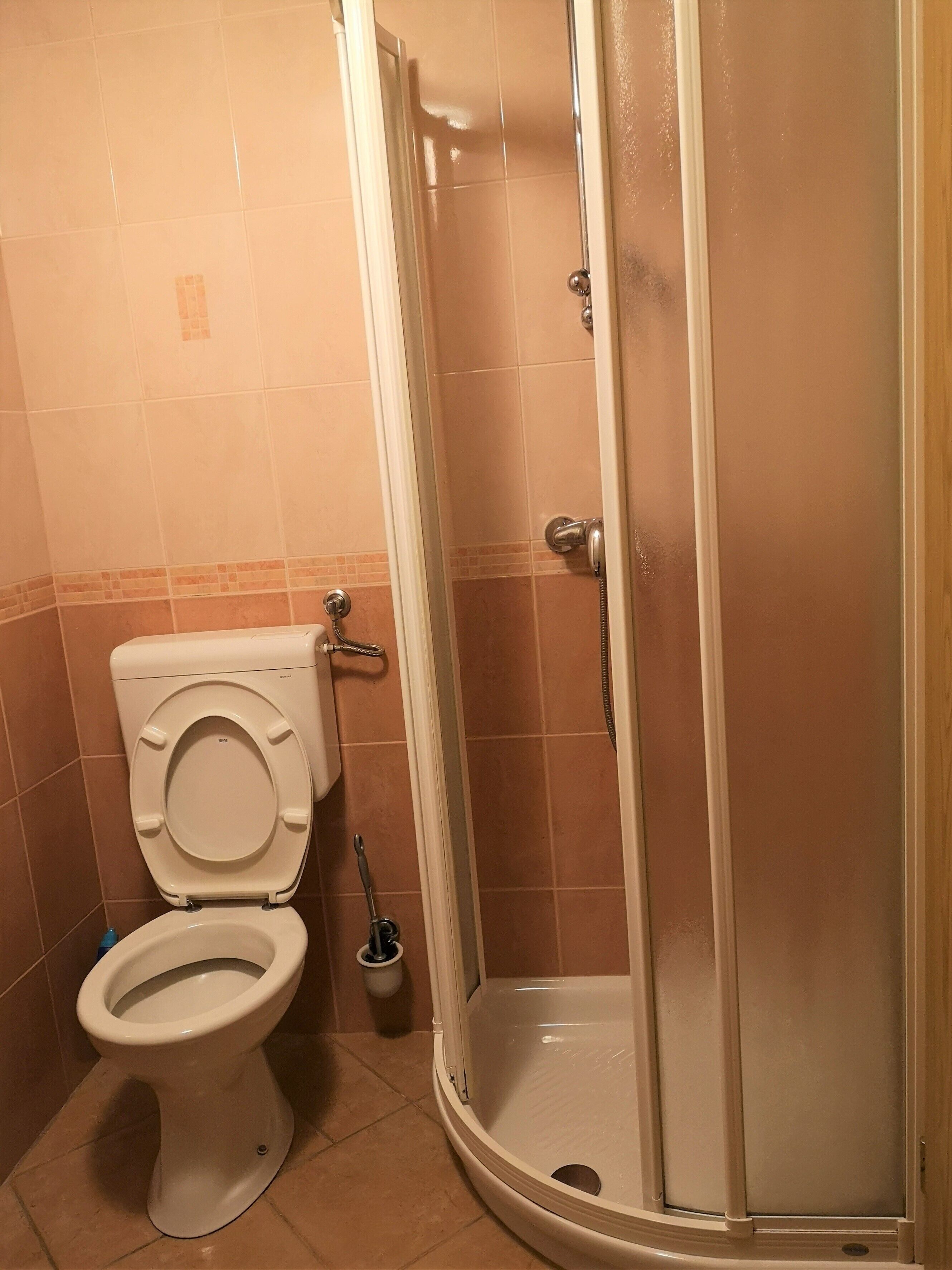 A bathroom with a toilet, a shower stall, and a toilet brush.