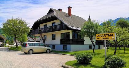 Apartments Znidar