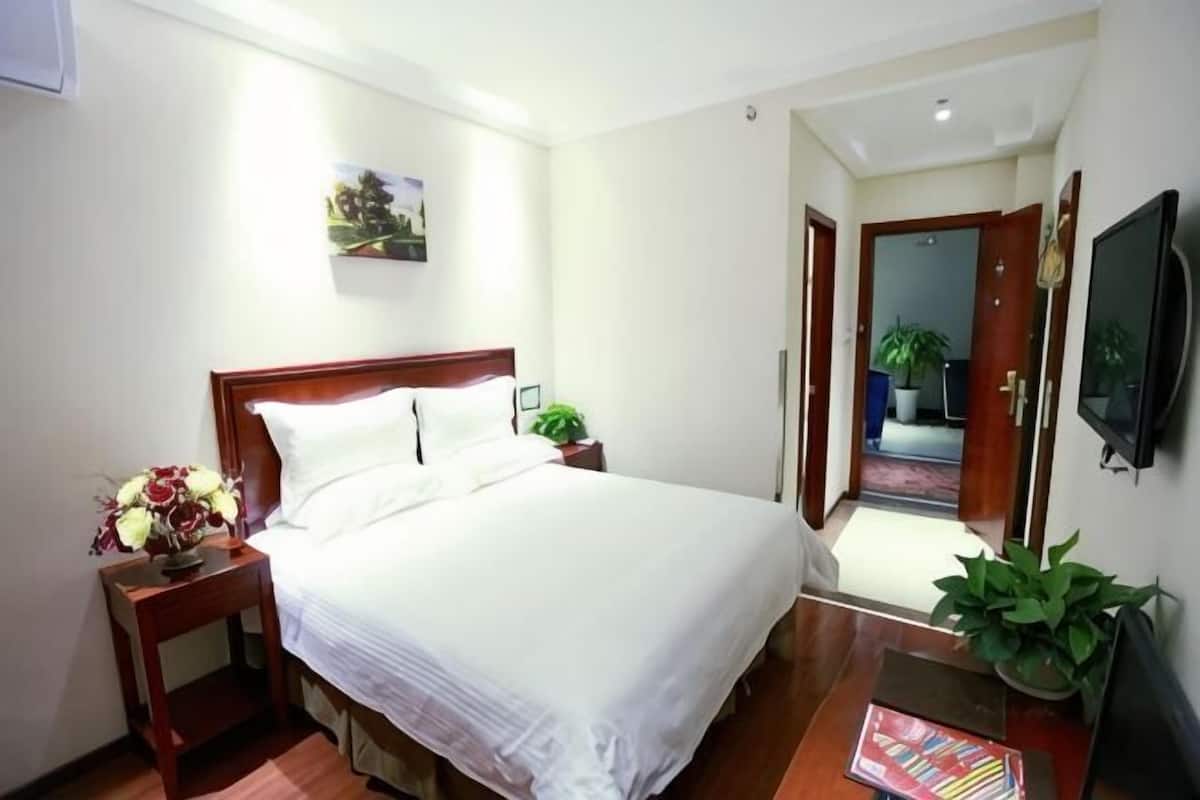 A hotel room with a bed, bedside table, TV, and a plant.