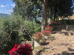 المنطقة المحيطة بالمنشأة