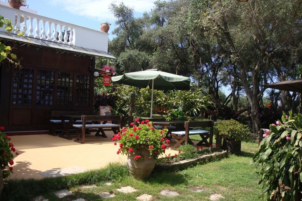 An outdoor patio area with wooden benches and a large potted plant with red flowers.