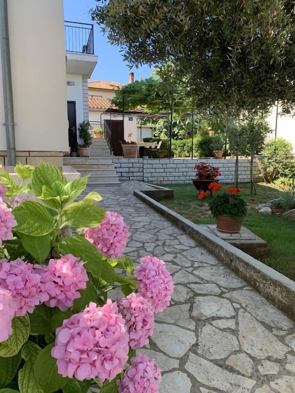 Garden view