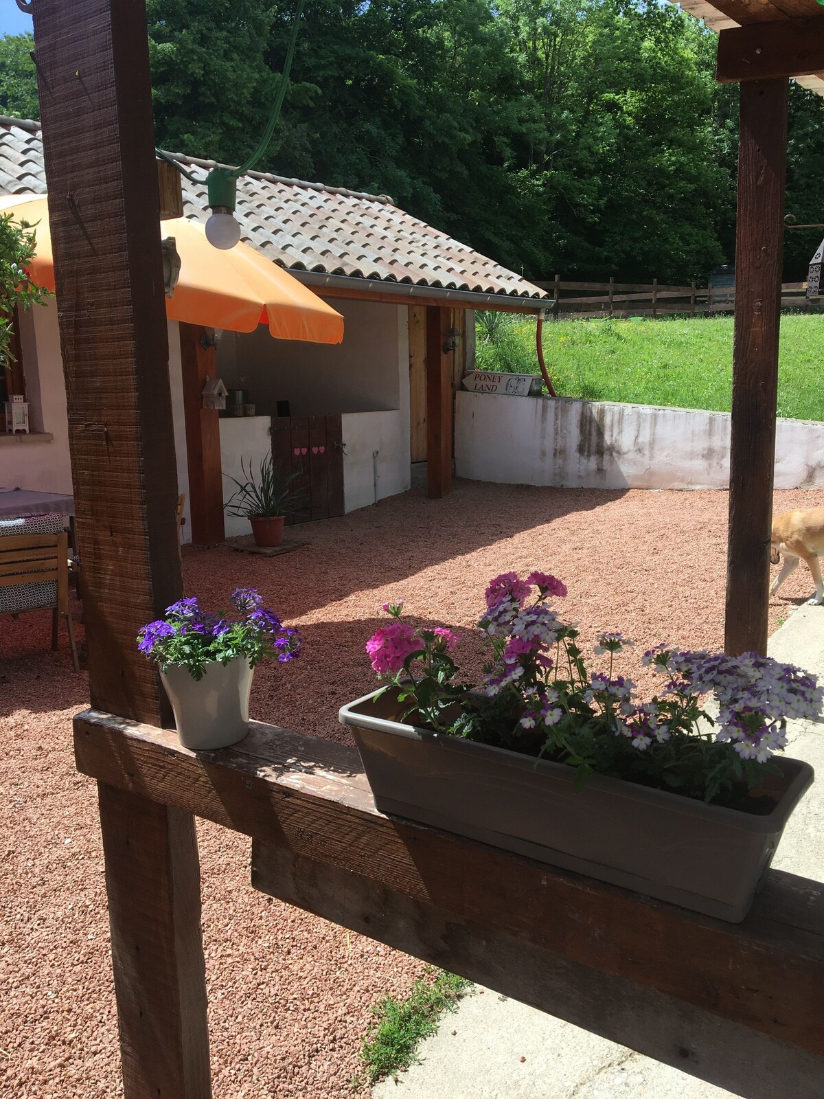 Bild für Gastgeberprofil