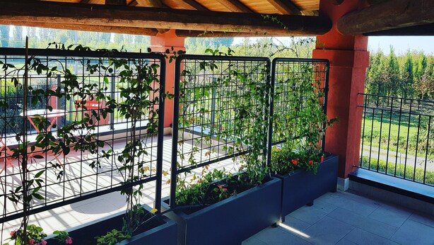 A covered balcony with a wooden ceiling, metal railings, and potted plants. - B&B Santa Maria di Lorgana (Minerbio)
