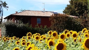 A field of sunflowers in front of a red house with a tiled roof. - B&B Santa Maria di Lorgana (Minerbio)
